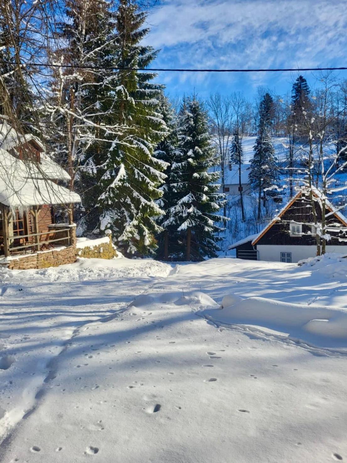 Srub V Bolkovskem Udoli Rudník Exterior foto