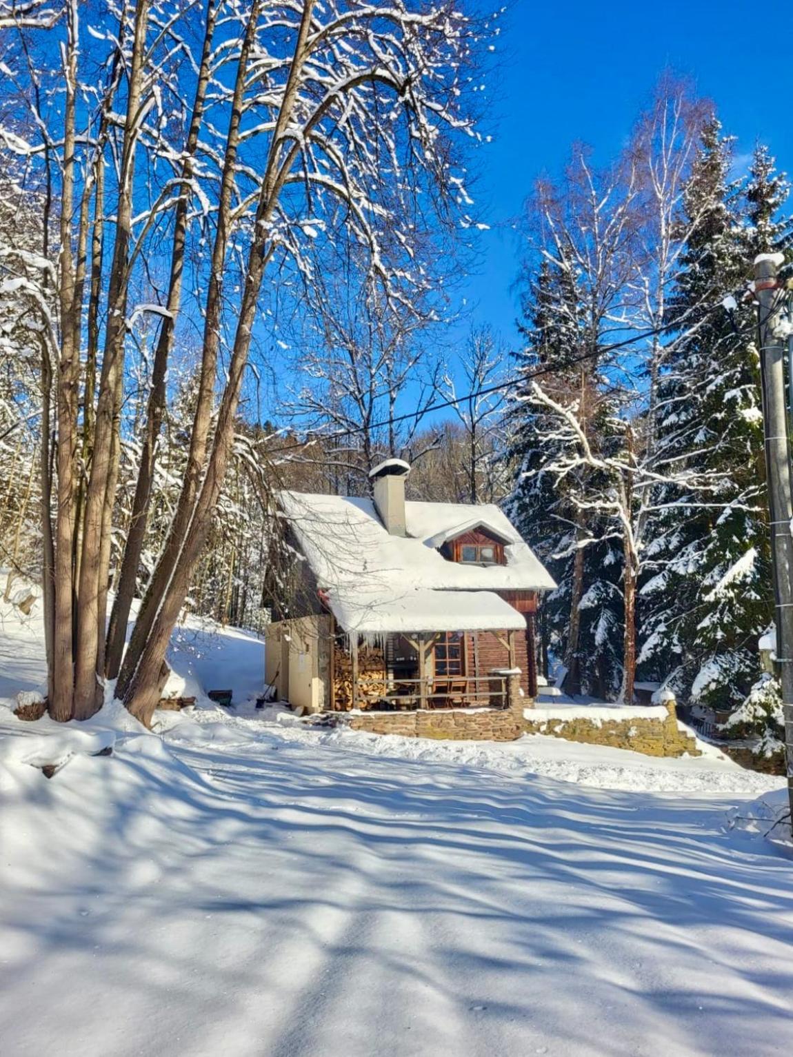 Srub V Bolkovskem Udoli Rudník Exterior foto